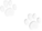 pattes de chien de couleu noir