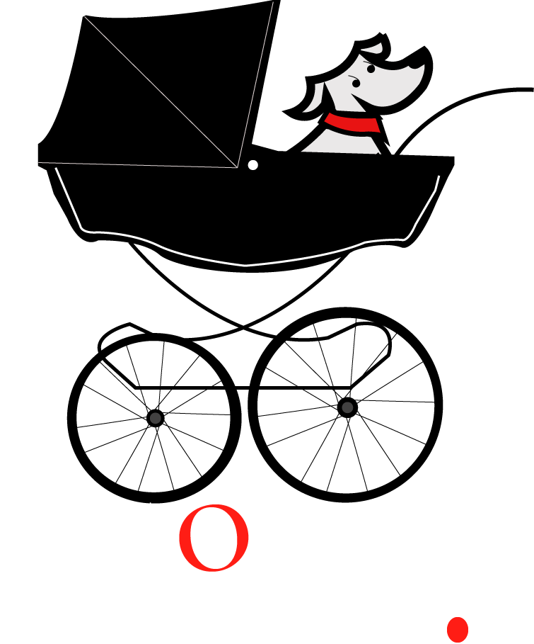 Logo avec le titre Pit'Oublie Pas!